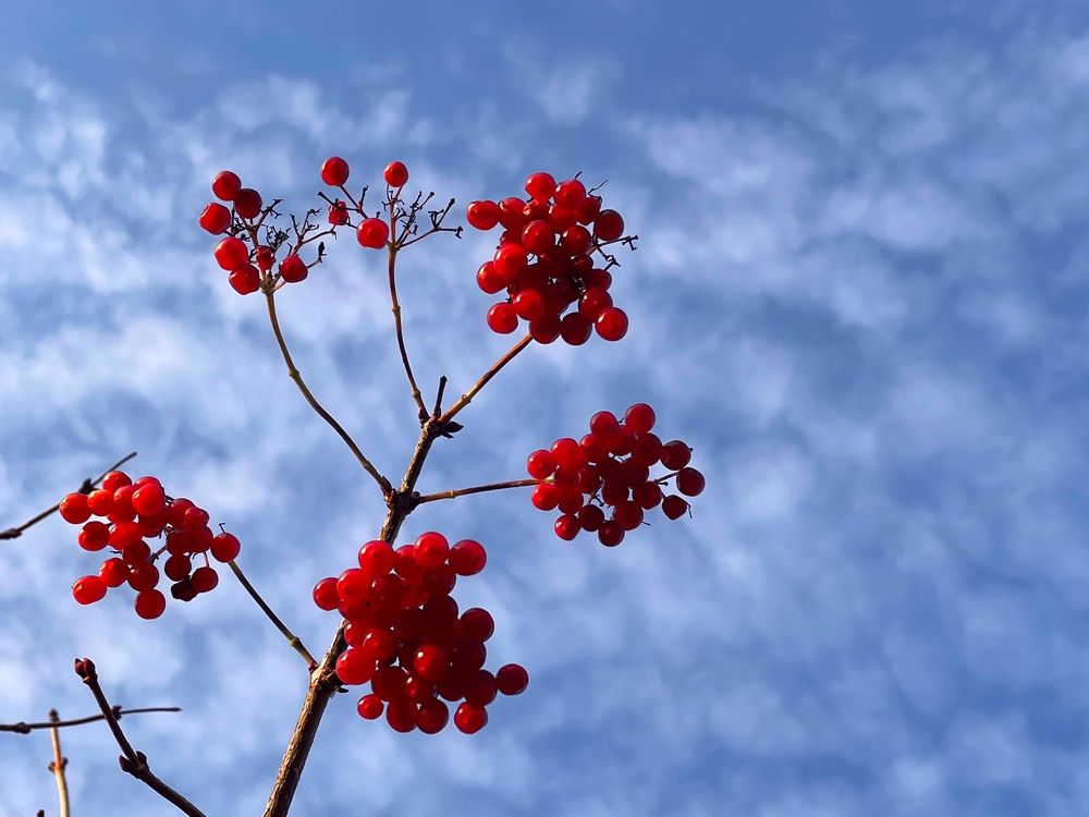 Photograph by Аскар