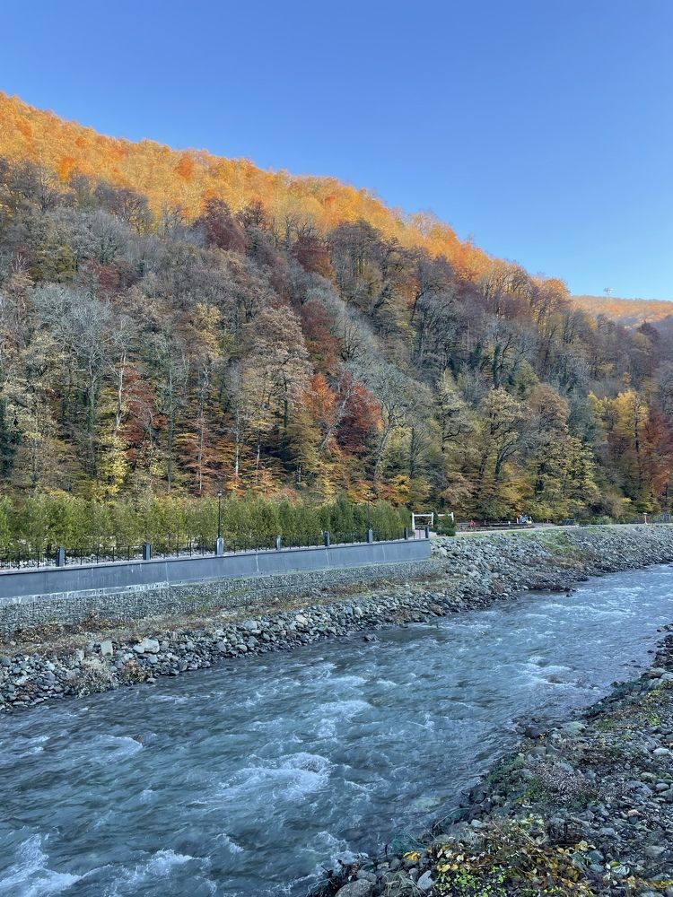 Photograph by Елена Горбунова