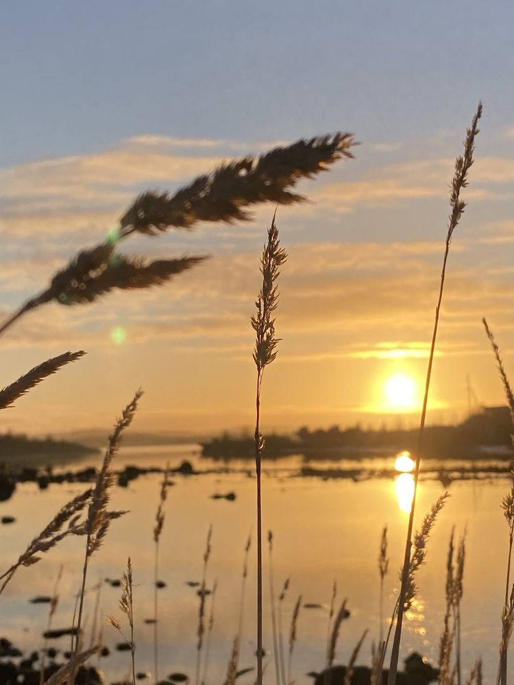 Photograph by Виктория Ярина