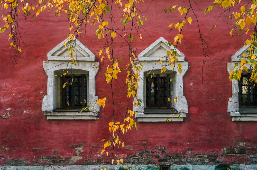 Photograph by Галина Бехметьева