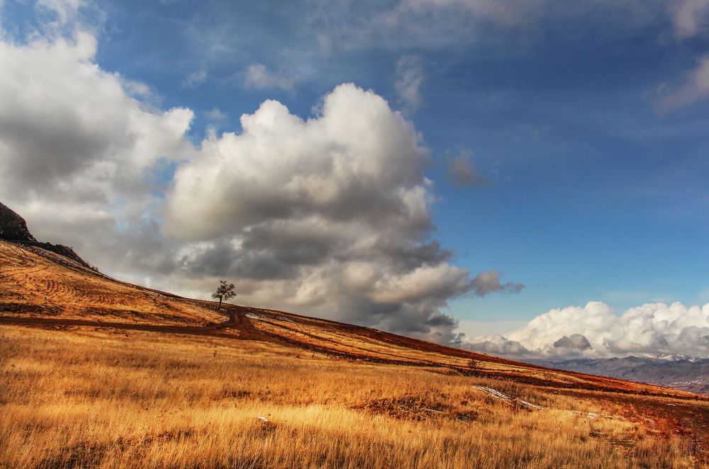 Фотография автора Vahid Basiri