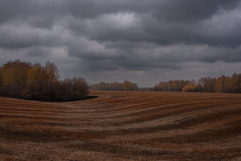 Photograph by Михаил Рогачев