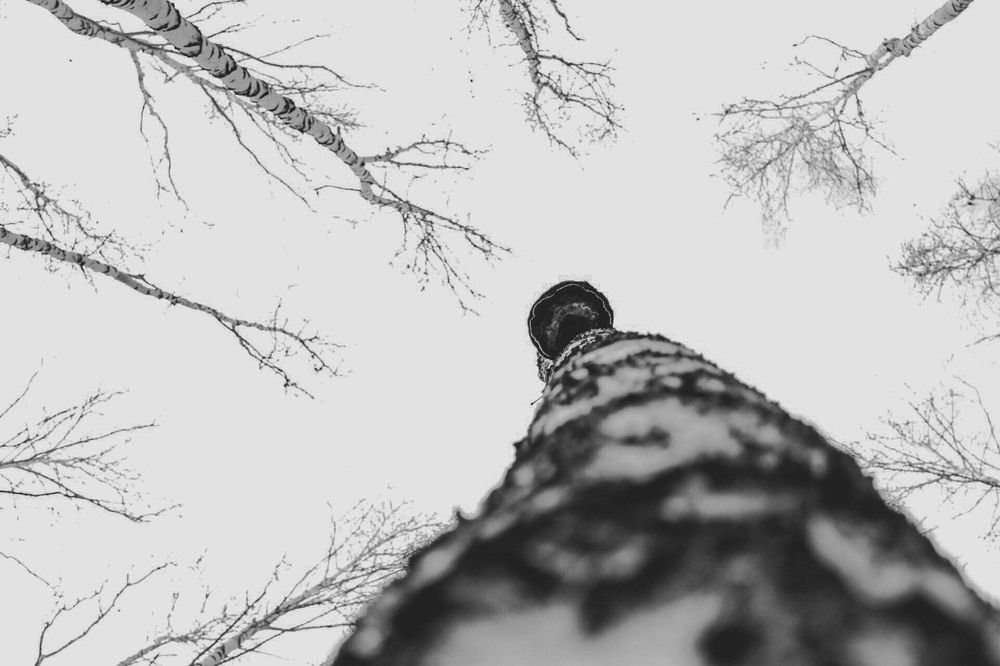 Photograph by Андрей Астафьев