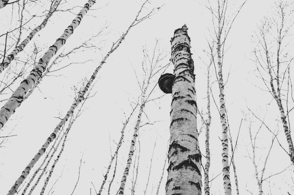 Photograph by Андрей Астафьев