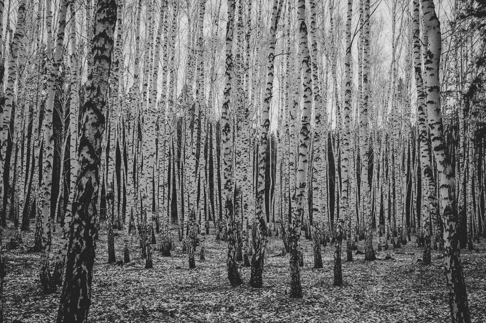 Photograph by Андрей Астафьев