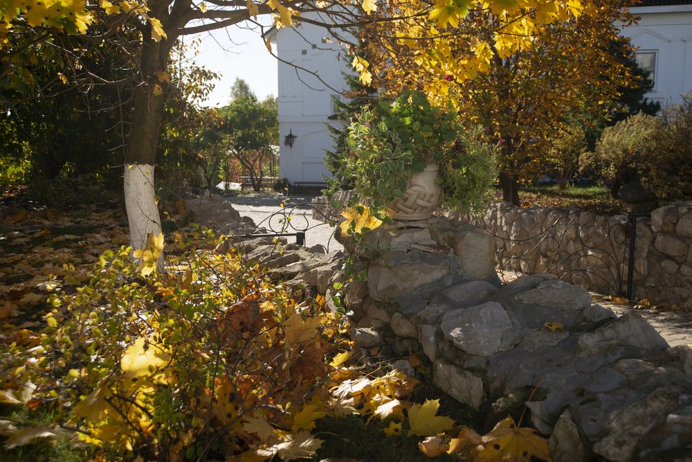 Photograph by Светлана Зайкова