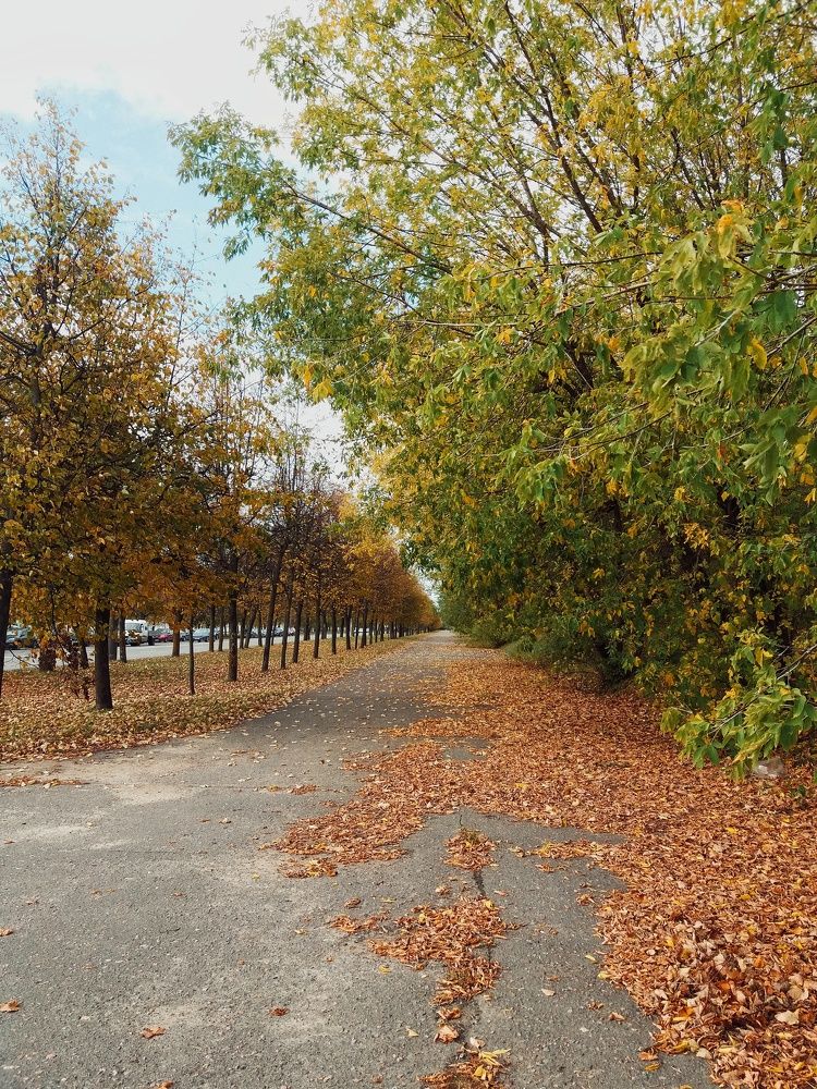 Фотография автора Оля Алехнович
