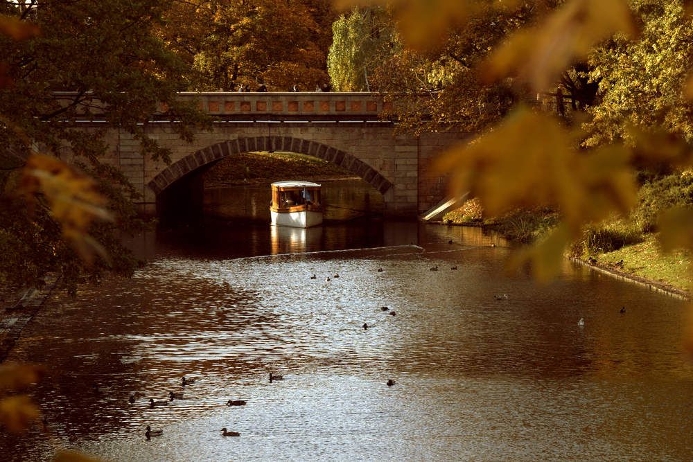 Photograph by Инна Сенкевич