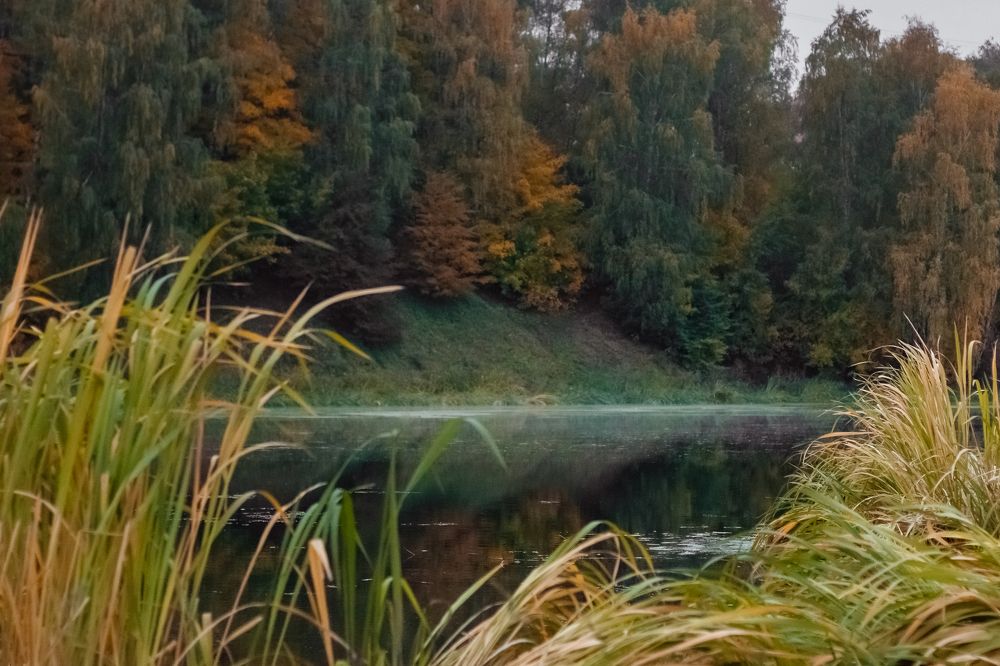 Photograph by Oksana Maskalenko