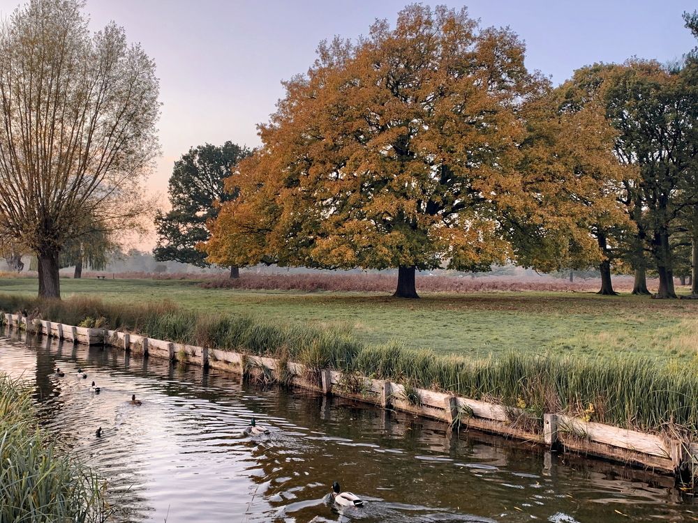 Photograph by Tatiana Serova