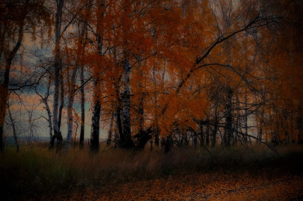 Photograph by Аскар