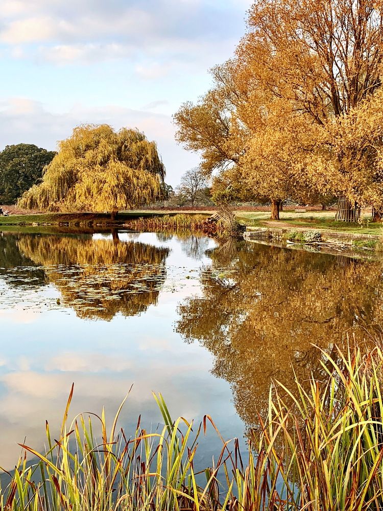 Photograph by Tatiana Serova