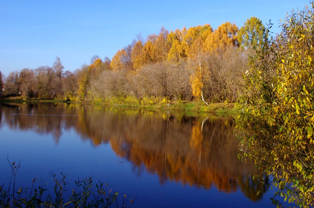 Photograph by Светлана Герасимчук