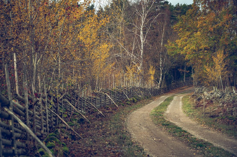 Photograph by Margarita Zakaryan