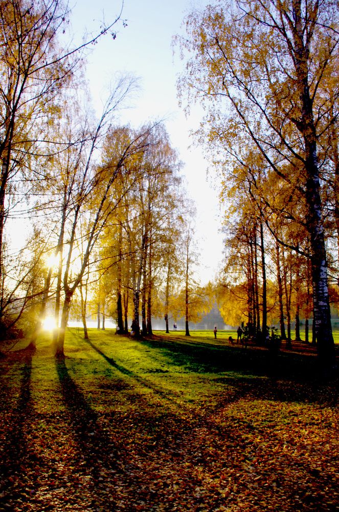 Photograph by Светлана Герасимчук