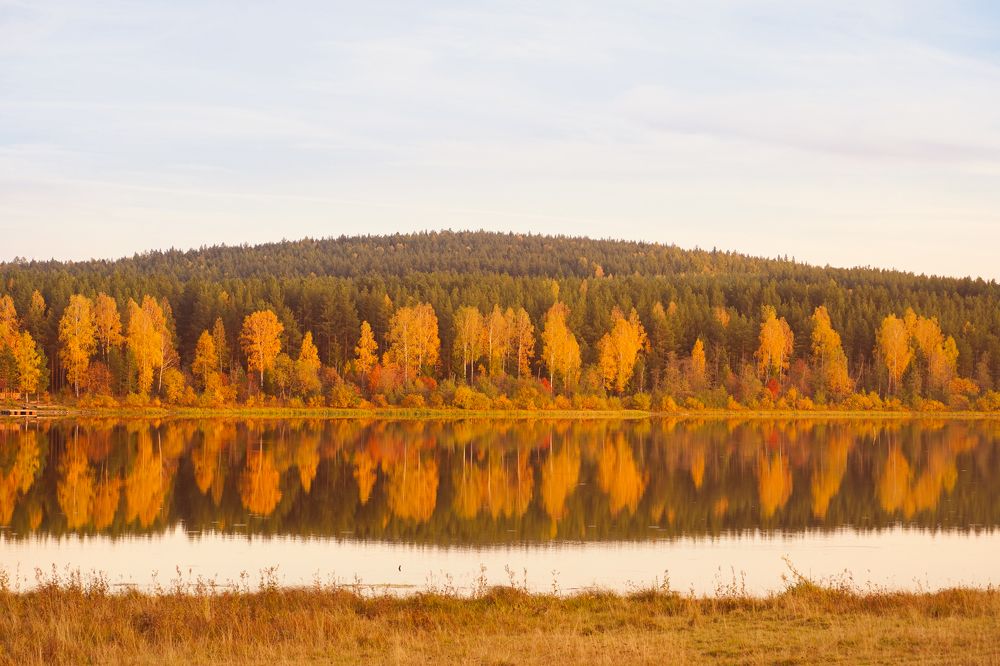 Photograph by Екатерина Корчик