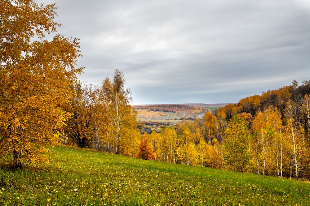 Краски осени