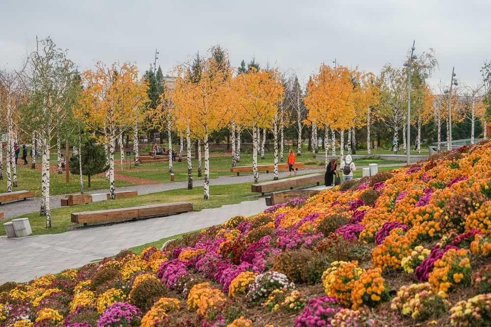 Photograph by Галина Бехметьева