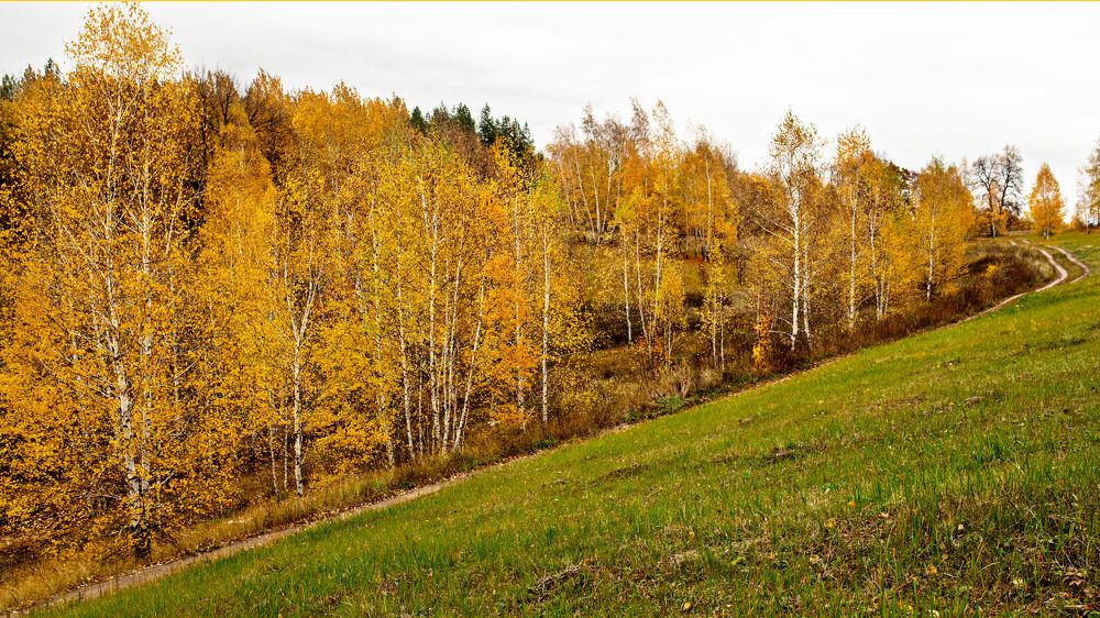 Палитра природы