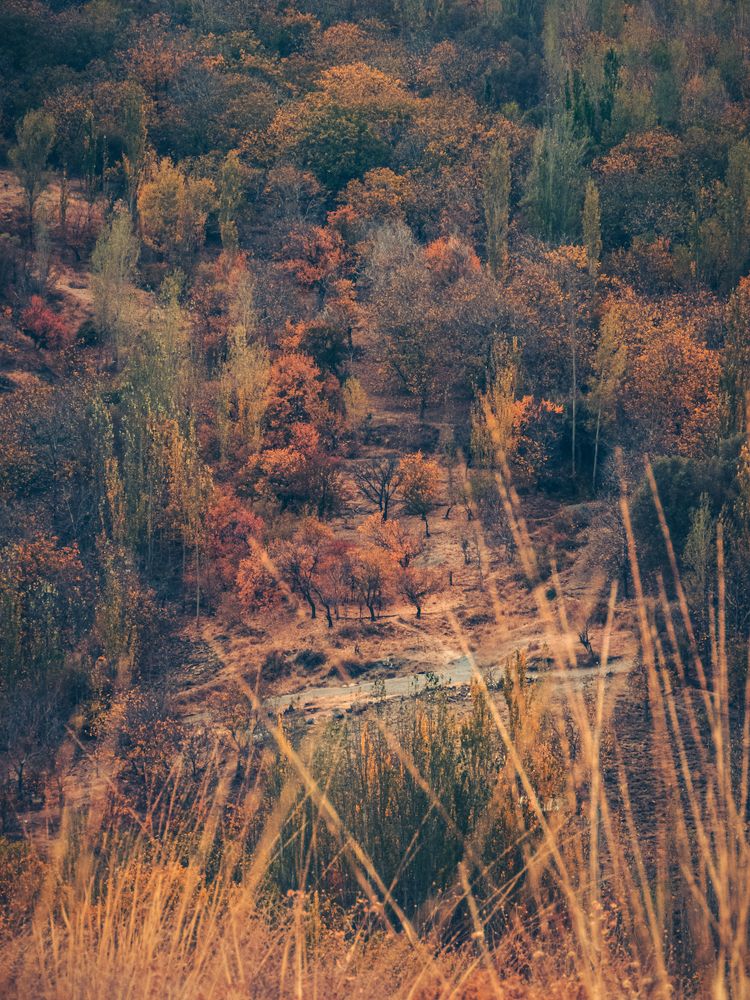 Photograph by Ashkan Bahrami