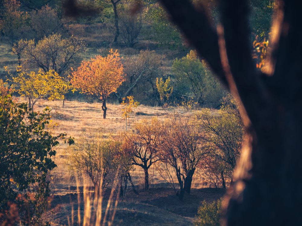 Photograph by Ashkan Bahrami