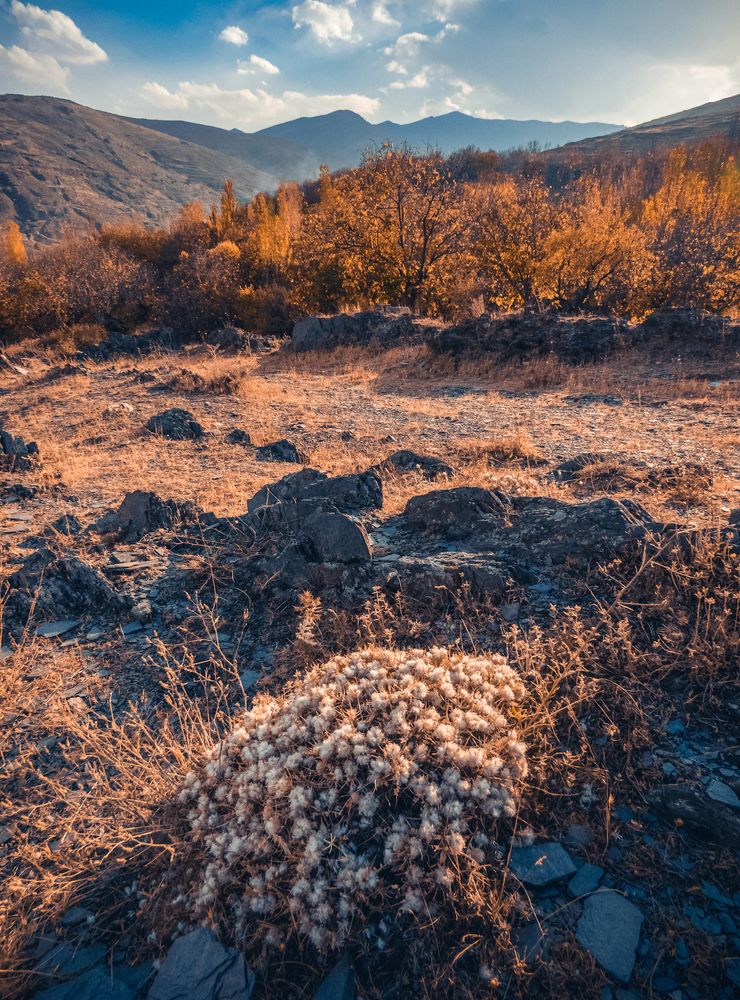 Photograph by Ashkan Bahrami