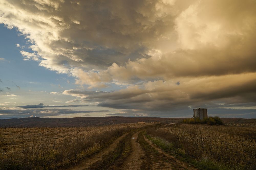 Вид, которого больше нет