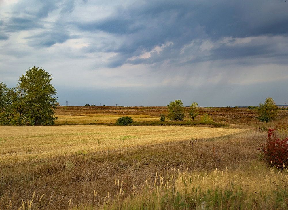 Photograph by Галина Чепиль