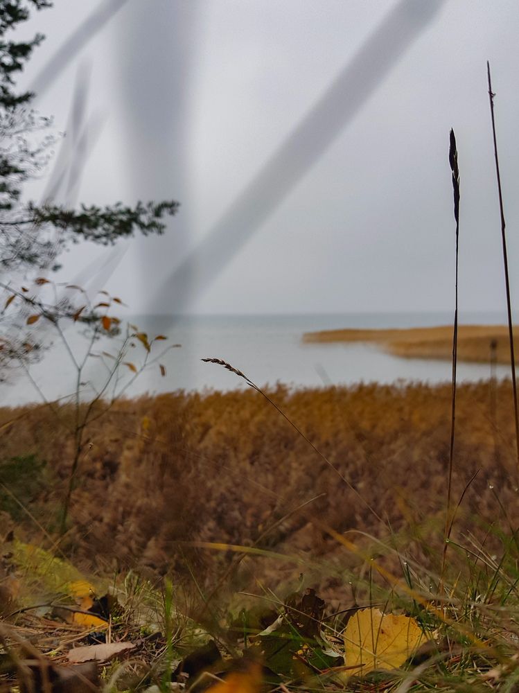 Photograph by Татьяна Яркович