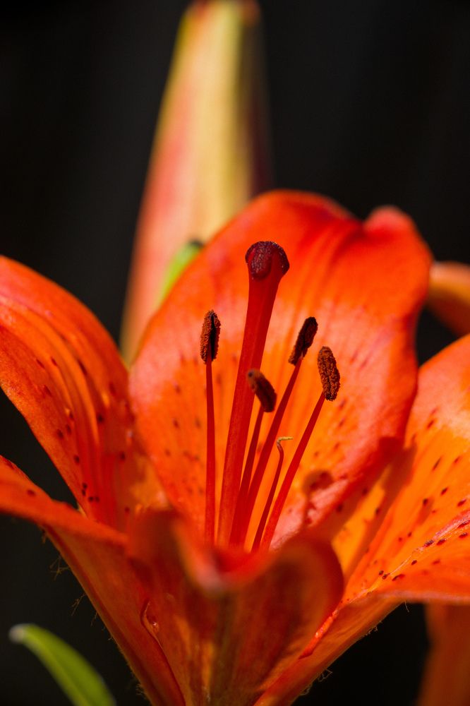 Photograph by Nikita Oshvintsev