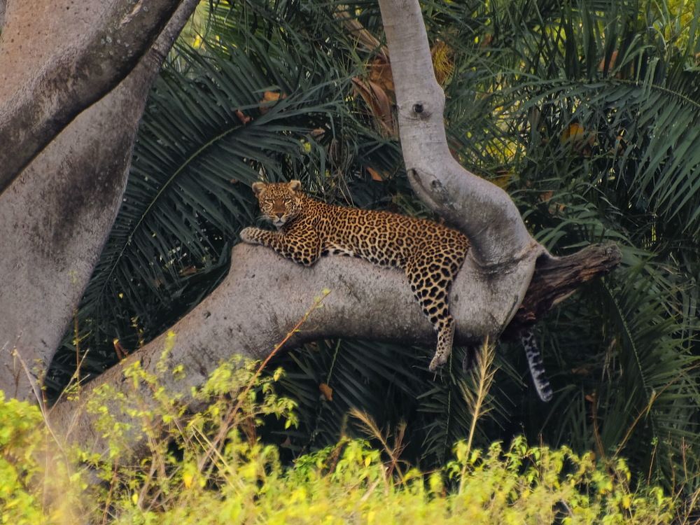 Photograph by Андрей Панин