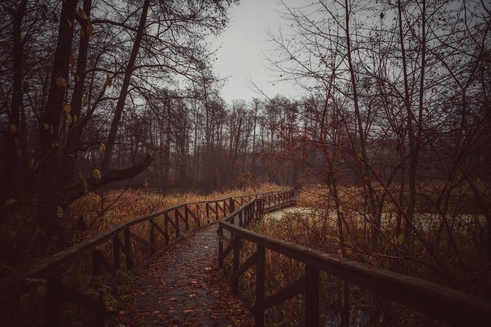 Photograph by Виктория Селютина