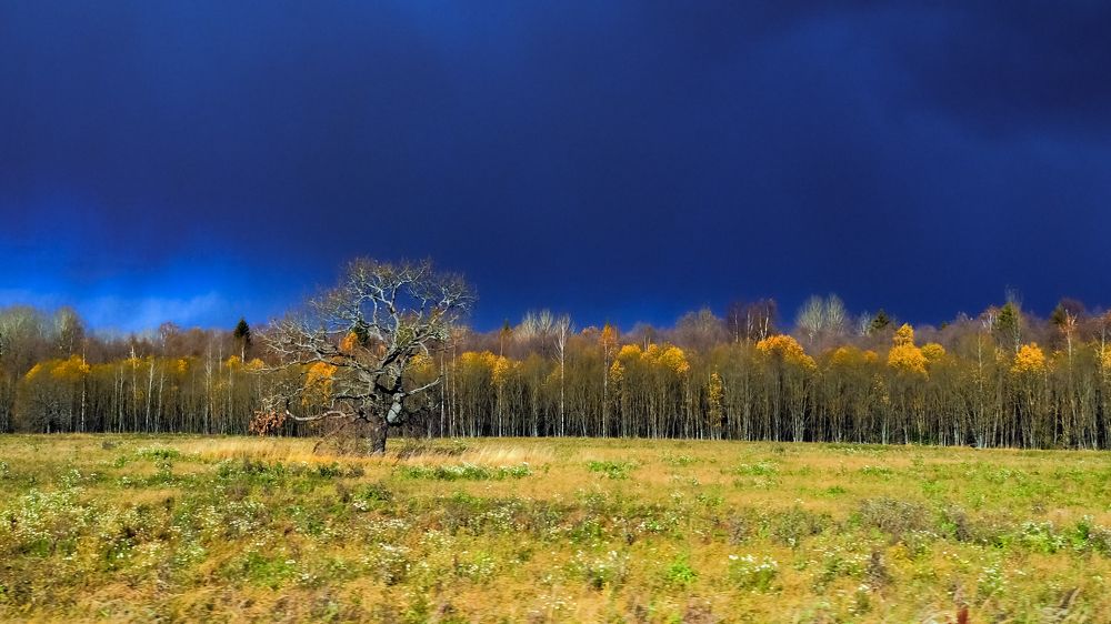 Photograph by Андрей Михайлин