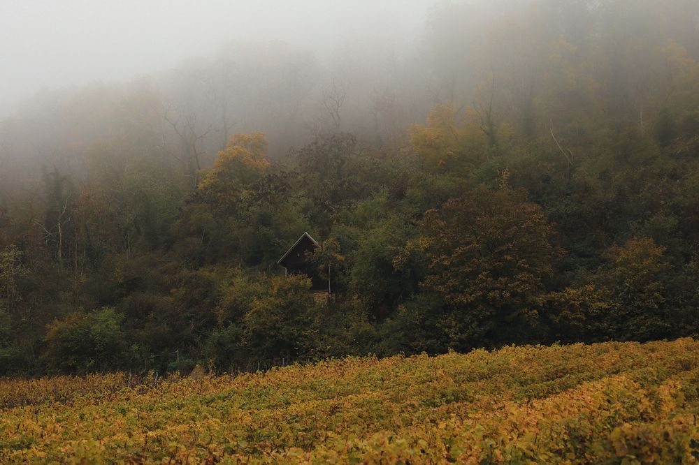 Photograph by Наталья Посашко