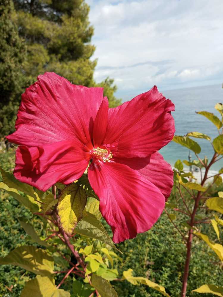 Photograph by Нина Гирнык