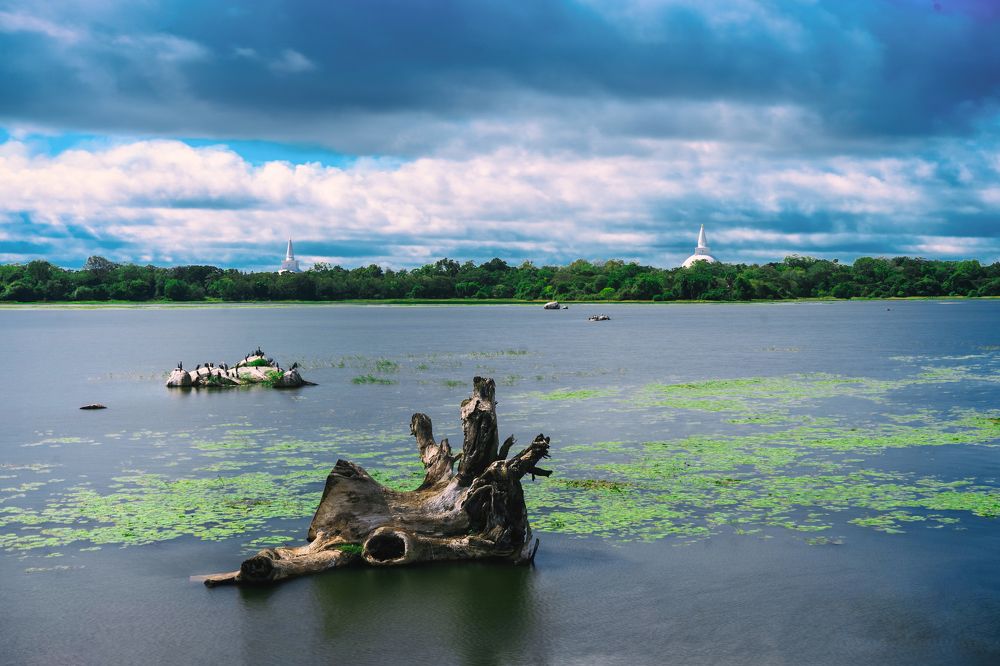 Sri Lanka Tank Landscape Photograph