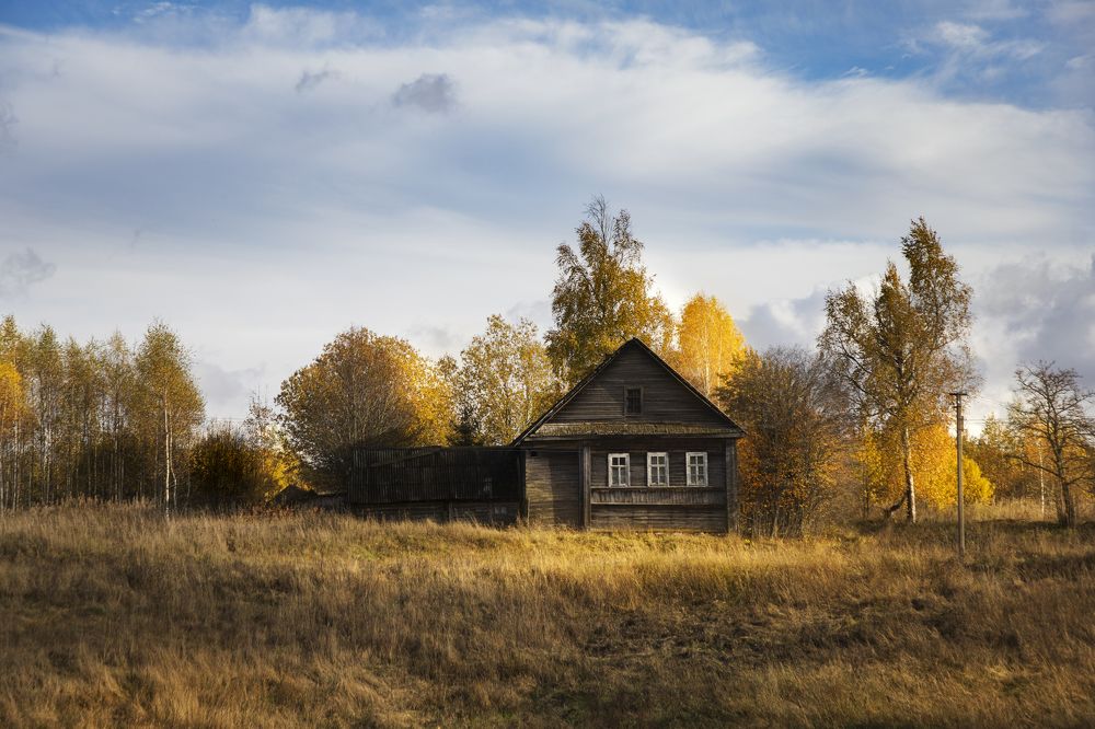 Фотография автора Ксения Зайцева