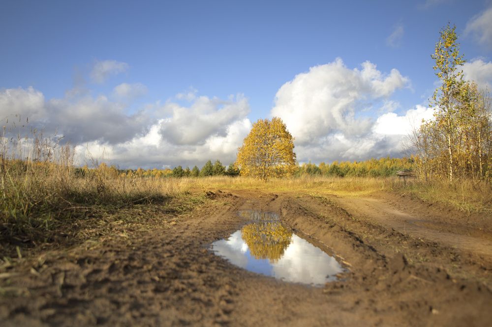 Фотография автора Ксения Зайцева