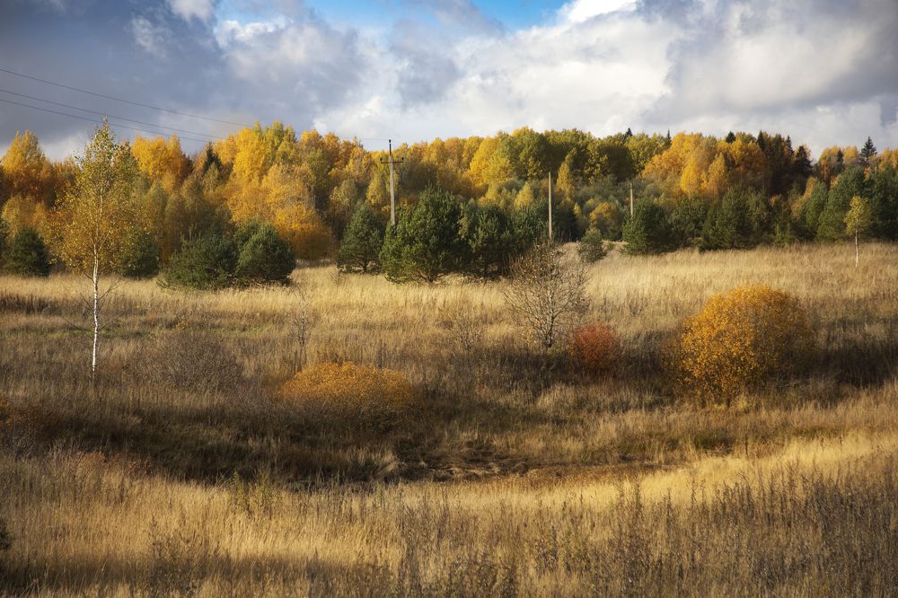 Фотография автора Ксения Зайцева