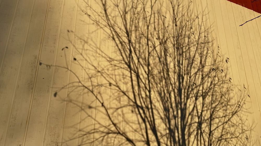 Photograph by Konstantin Mikhailov