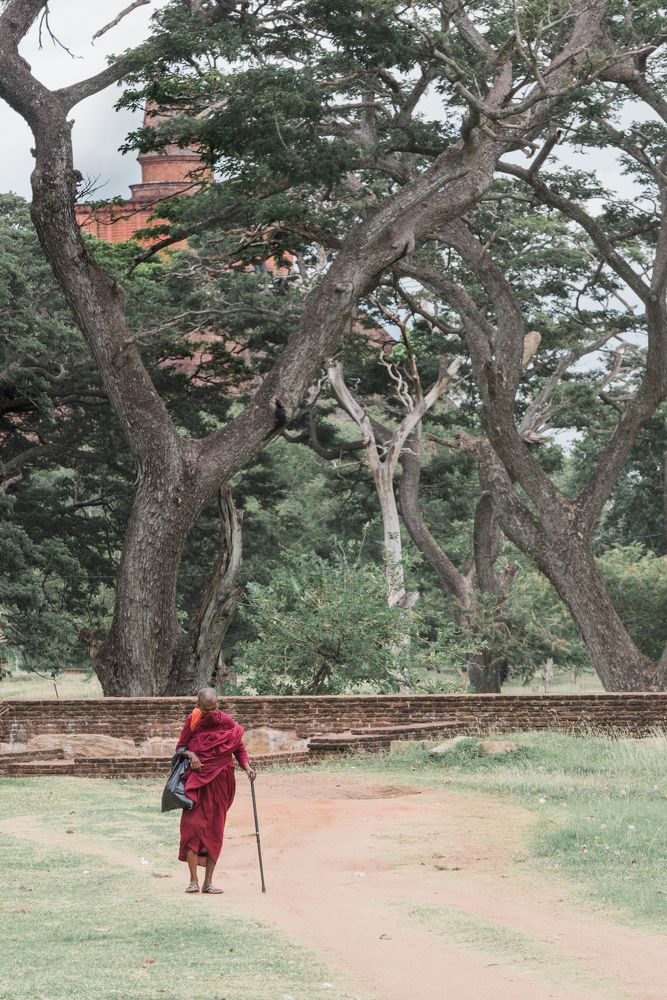 Buddhist Monk Daily Life