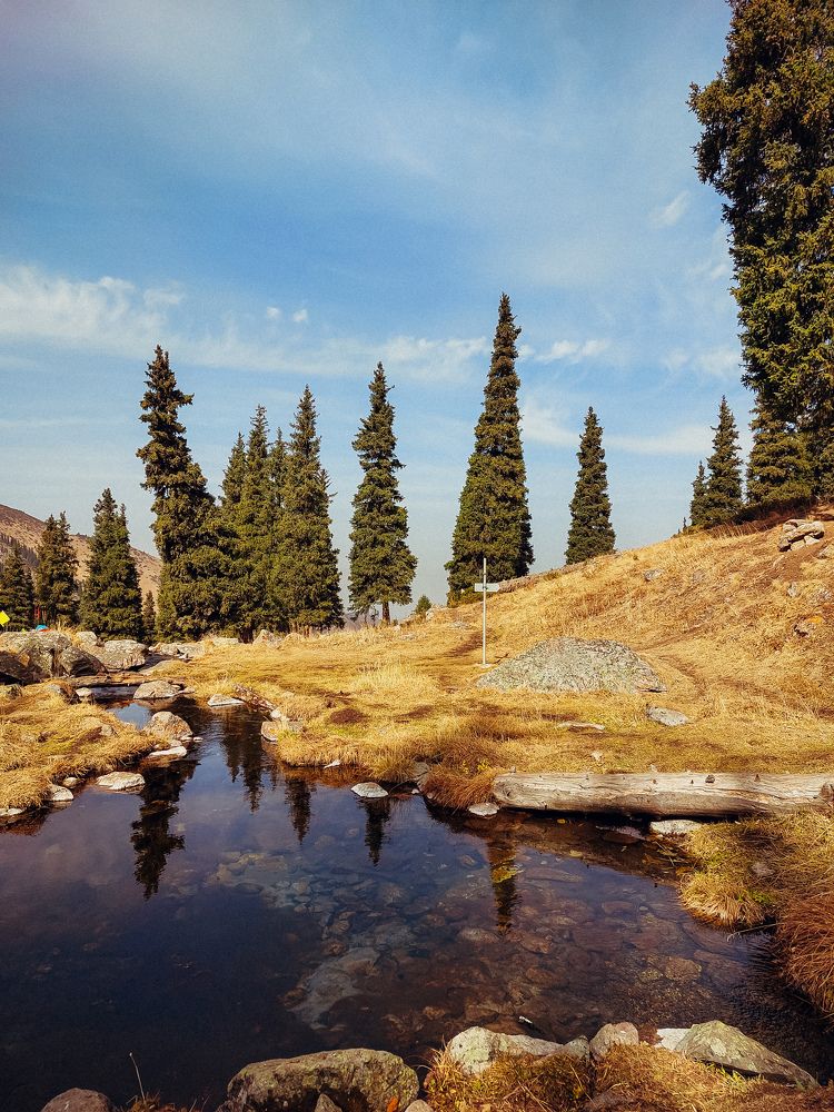 Photograph by Родионова Ксения