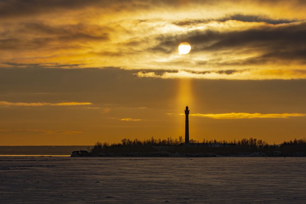 Фотография автора Ксения Зайцева