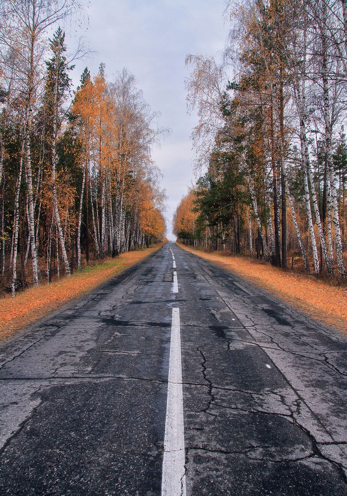 Дорога в осень