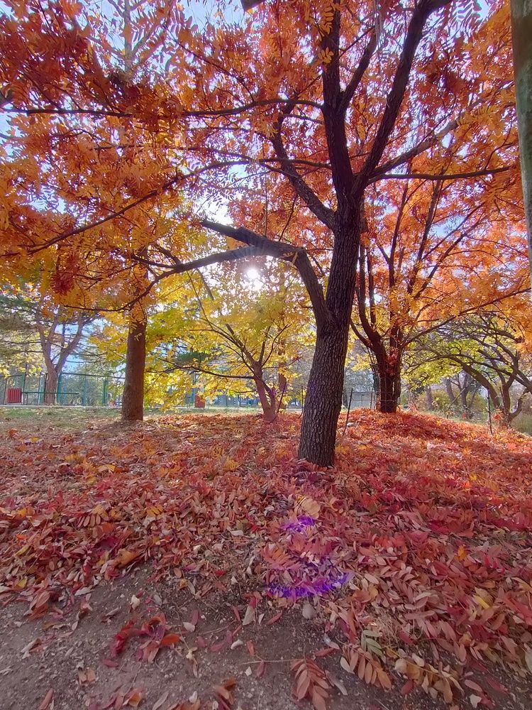 Photograph by Ольга