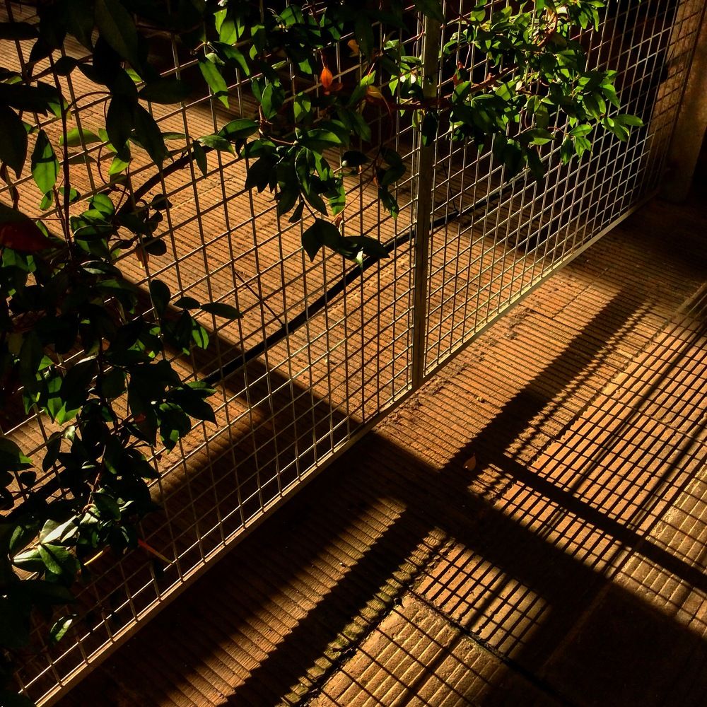 Photograph by Rustam Huseynov