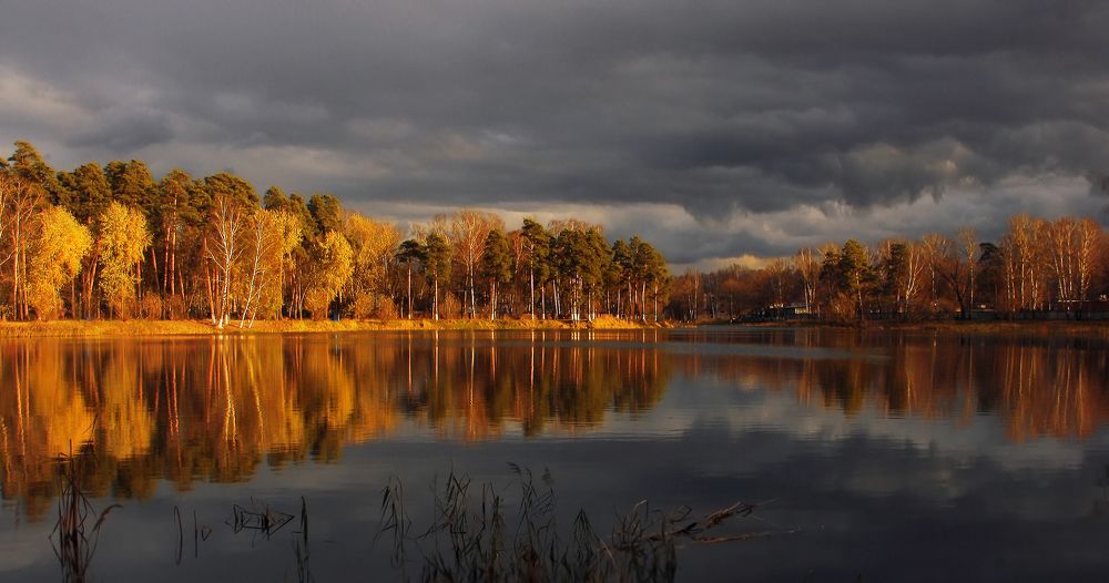 Озеро с золотыми берегами