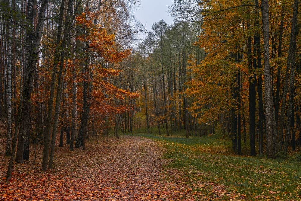Photograph by Владимир Баранов