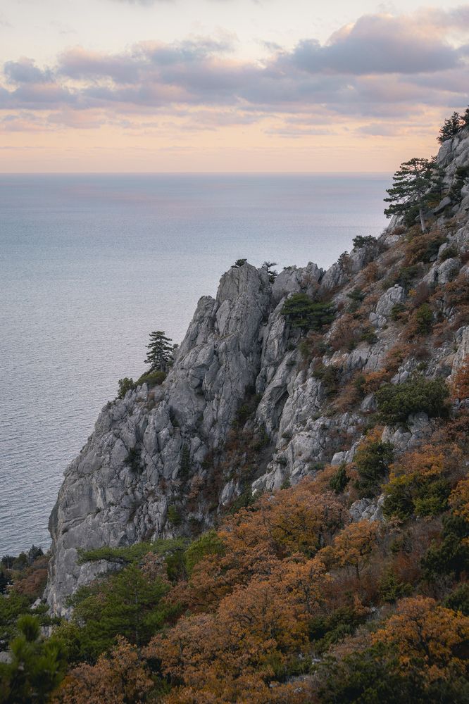 Photograph by Владимир Баранов