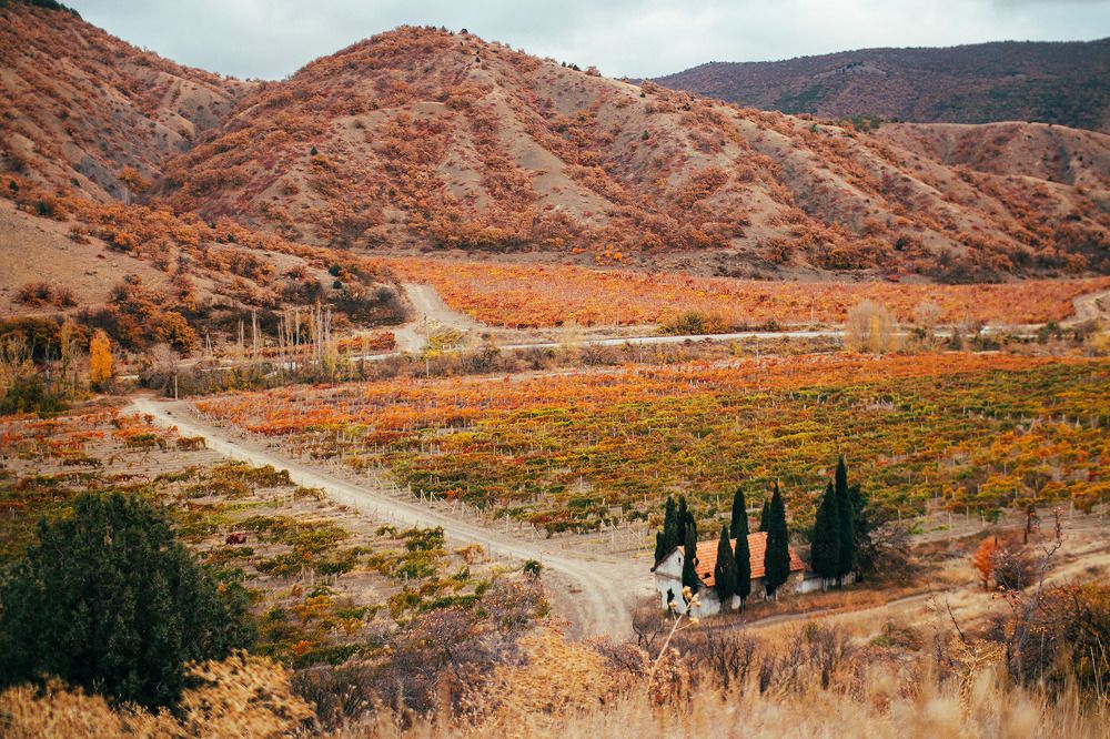 Photograph by карина